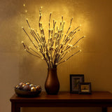 Sacred Willow Branch