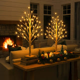 Enchanting Birch