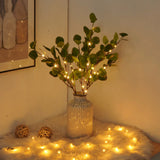 Lit Olive Branch with Light Decorations